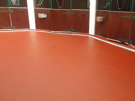 POLTRACK EQUINE SYSTEM
