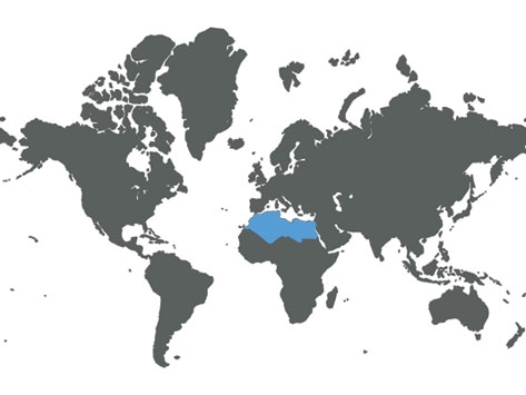 BUSINESS TRIP IN NORTH AFRICA